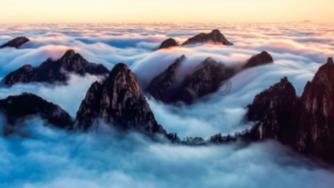 纸虎小说下载